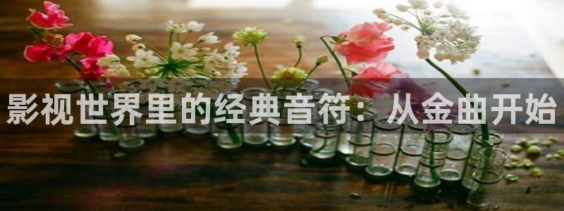 嫩草影院2：影视世界里的经典音符：从金曲开始