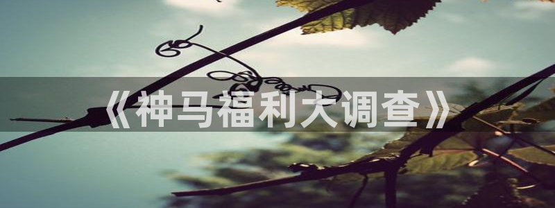 嫩草影院观看：《神马福利大调查》