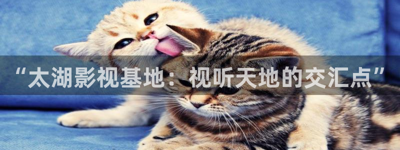 嫩草影院在线观看少妇：“太湖影视基地：视听天地的交汇点”