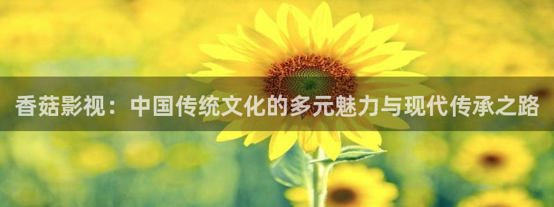 嫩草影院在线观看：香菇影视：中国传统文化的多元魅力与现代传承之路