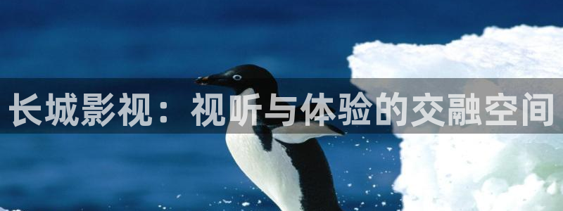 嫩草~懂你的影院：长城影视：视听与体验的交融空间