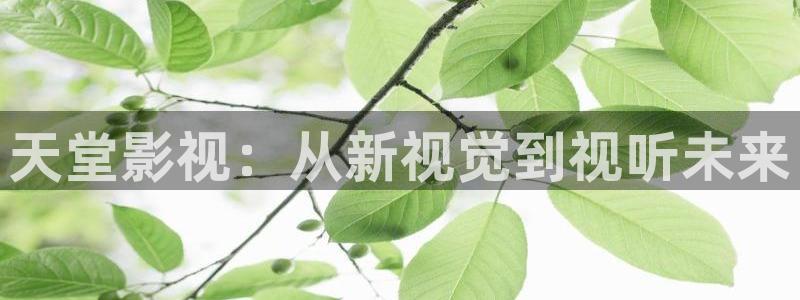嫩草影院免费入口：天堂影视：从新视觉到视听未来
