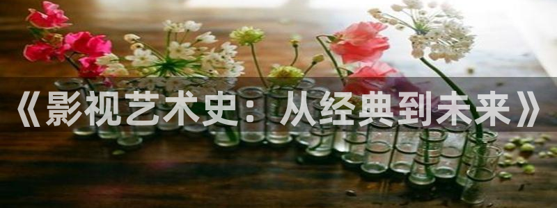 嫩草影院最新网址：《影视艺术史：从经典到未来》