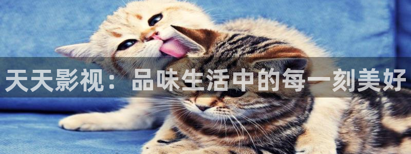 嫩草影院一二三四五六七八：天天影视：品味生活中的每一刻美好