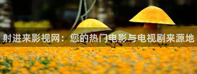 嫩草影院图片：射进来影视网：您的热门电影与电视剧来源地