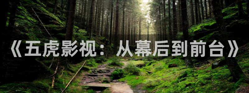 嫩草影院激情：《五虎影视：从幕后到前台》