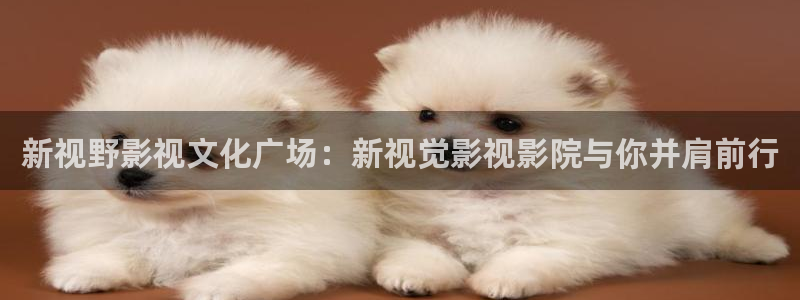 嫩草影院在线网址：新视野影视文化广场：新视觉影视影院与你并肩前行