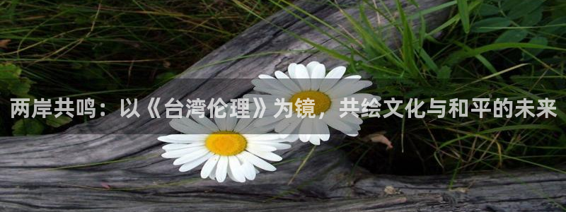嫩草影院 懂你的影院：两岸共鸣：以《台湾伦理》为镜，共绘文化与和平的未来